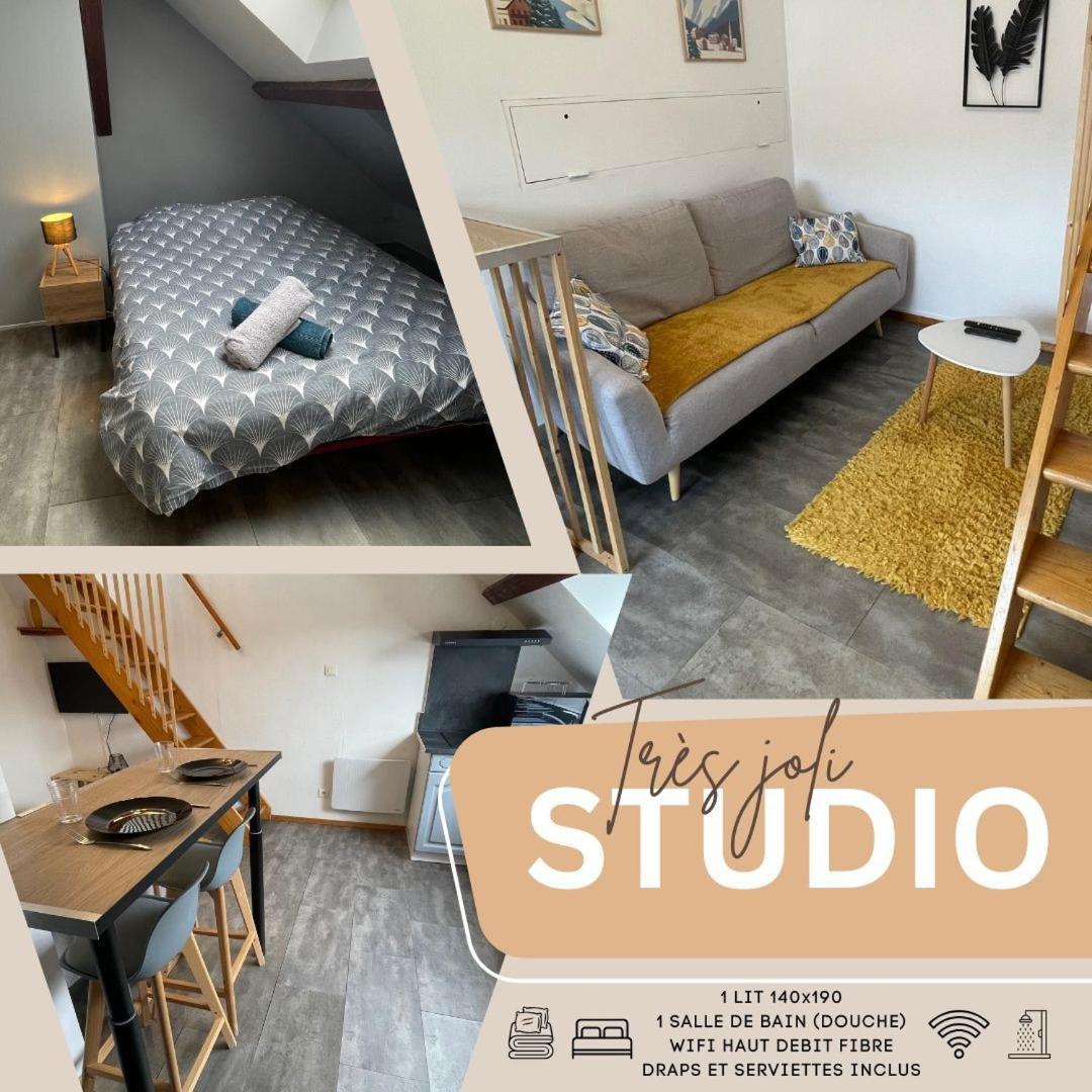 Superbe Studio A Proximite Du Centre-Ville Saint-Die-des-Vosges Esterno foto