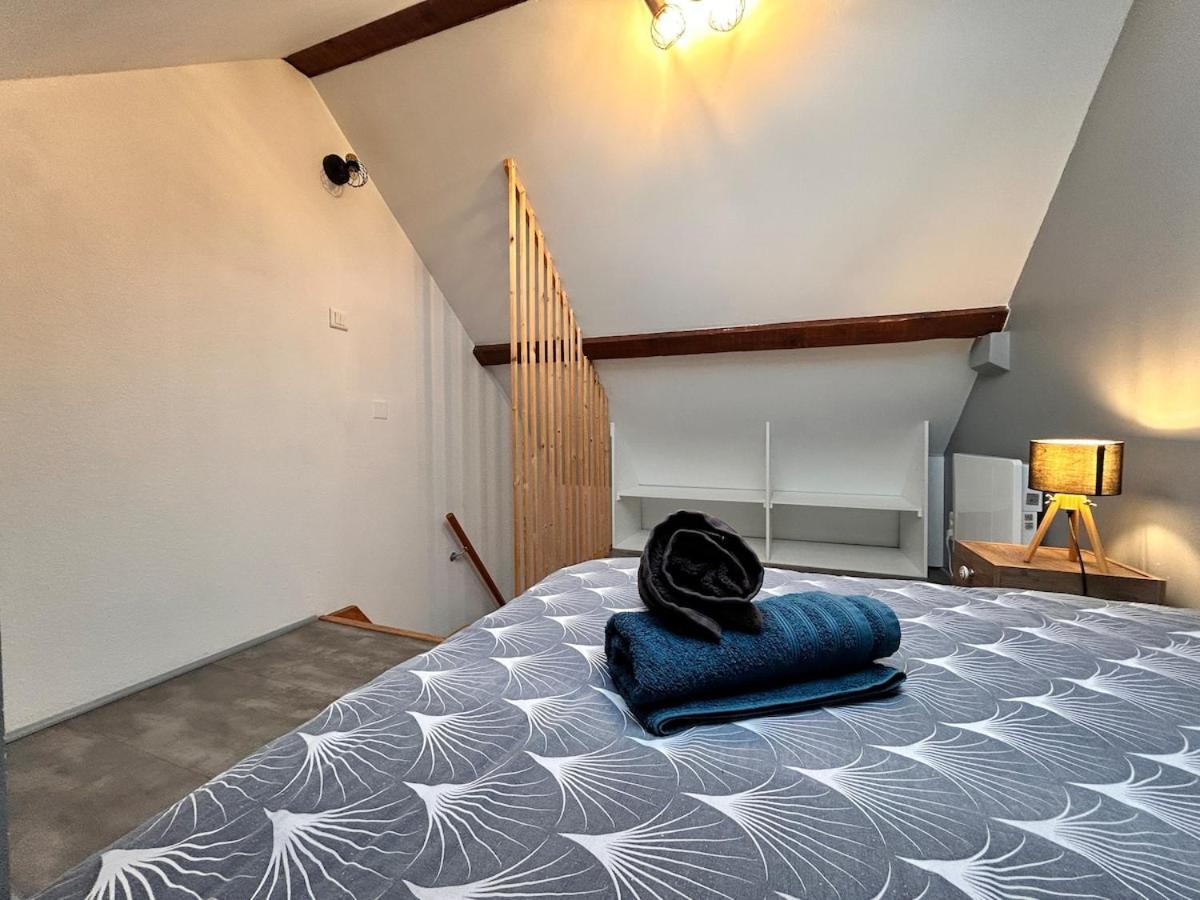 Superbe Studio A Proximite Du Centre-Ville Saint-Die-des-Vosges Esterno foto